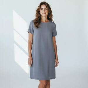 Babaton Patricio Blue Short Sleeve  Shift  Midi Dress Womens  Size  US 10